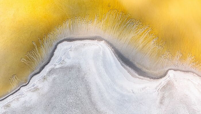 Aerial view of a unique shoreline from the Ournature Environmental Photo Awards.