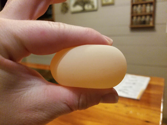 Translucent smooth egg held between fingers glitch in the matrix