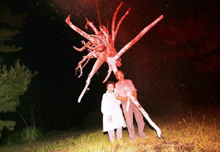 Cursed image of two people holding large root shaped like spider at night