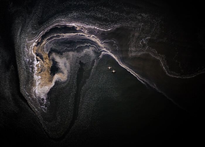 Top-down view of birds flying over swirl patterns in water from OurNature Environmental Photo Awards.