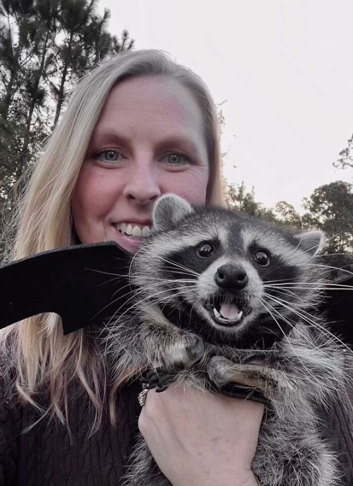A happy woman holding a pet raccoon wearing bat costume wings in a heartwarming raccoon story.