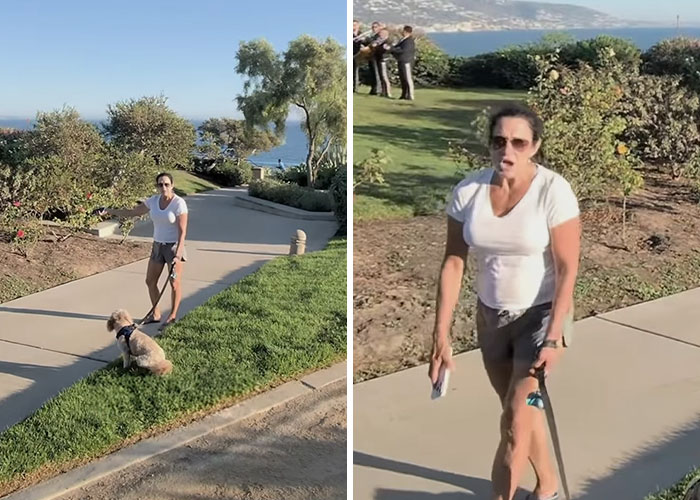 The woman known as Karen disrupting the Laguna Beach proposal while walking her dog