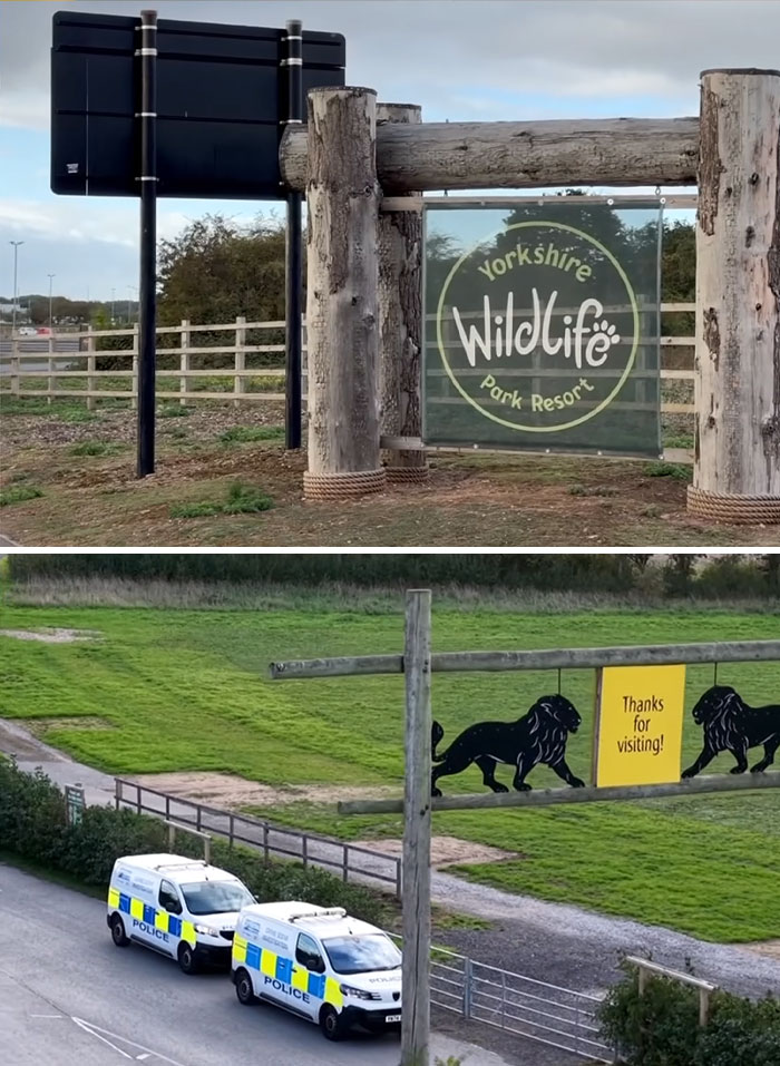 Fate Of Tiger That Mauled Man After He Entered Its Enclosure Finally Revealed Fate Of Tiger That Mauled Man After He Entered Its Enclosure Finally Revealed