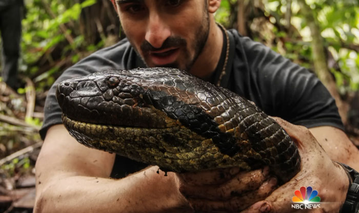 Man Lets A Giant Snake Try To Swallow Him, Says A Much Smaller Animal Hurt Far More