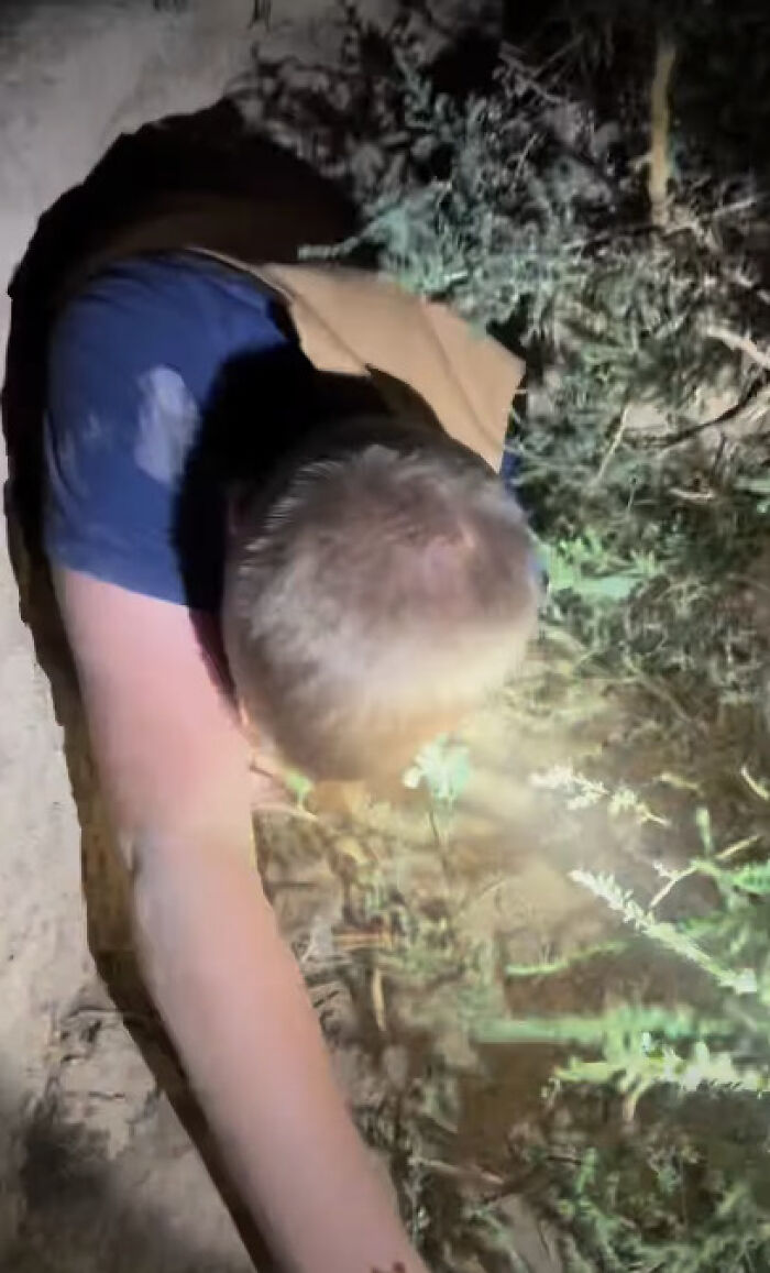 Dog Goes Viral After Owner Reveals The Enormous Underground Home She Dug All By Herself