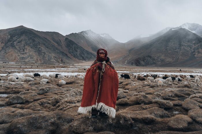 Shepherd in traditional cloak with sheep in mountainous terrain, best pics Siena International Photo Awards 2026