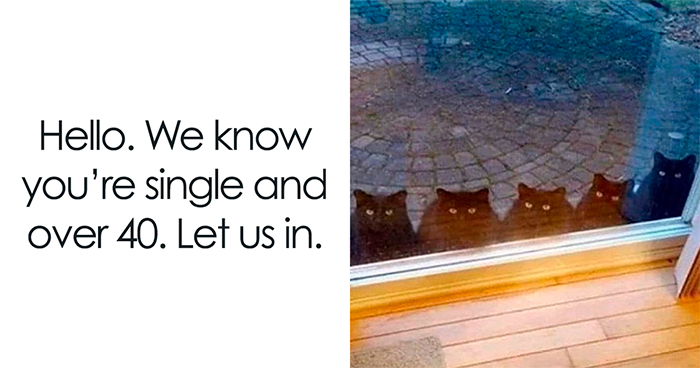 30 Hilarious Animal Memes That Prove Pets Are Natural Comedians, As Shared By This Page