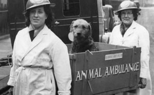 55 Remarkable Pieces Of History That Feel Like Opening A Window Into The Past