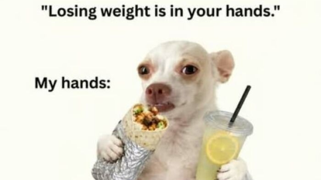 65 Strange And Funny Pics That Are Exactly The Kind Of Random The Internet Does Best (New Pics)