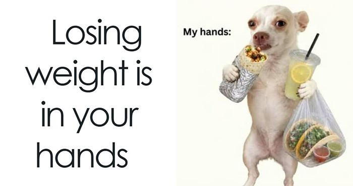 65 Strange And Funny Pics That Are Exactly The Kind Of Random The Internet Does Best (New Pics)