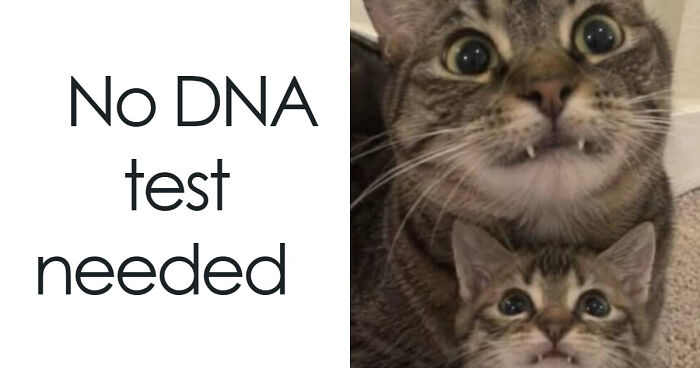 65 Strange, Random, And Unexpectedly Funny Pics Shared By This Online Group (New Pics)