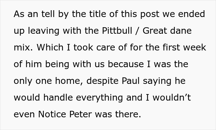 Text explaining a couple getting a large dog, specifically a Pitbull Great Dane mix.