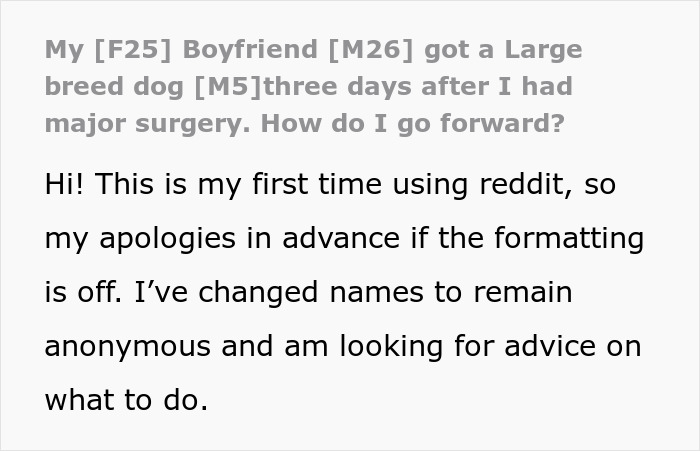Reddit post screenshot detailing a boyfriend getting a large dog after his girlfriend's surgery