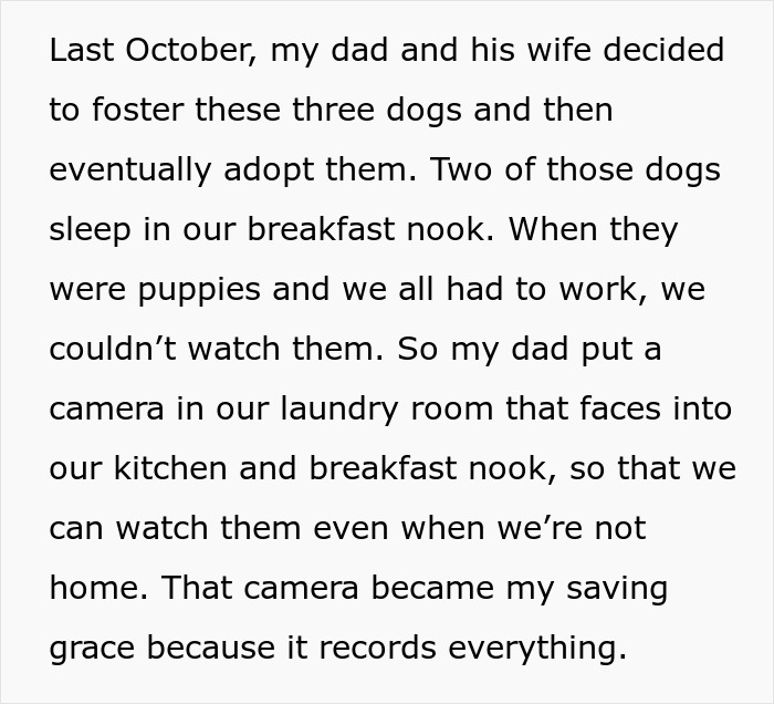 Text describing how a home security camera was set up in the kitchen.