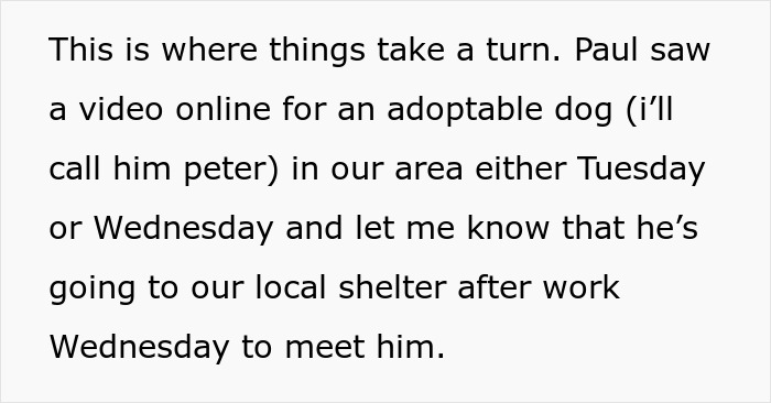 Text screenshot explaining how a boyfriend decides to look at a dog while his girlfriend recovers from surgery.