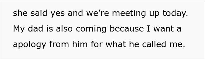 Reddit post text screenshot of a woman arranging a meeting with her parents to resolve family drama Reddit post text screenshot of a woman arranging a meeting with her parents to resolve family drama