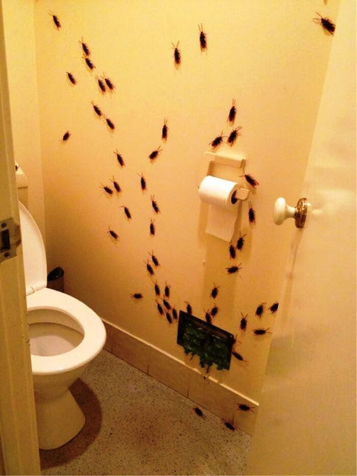 Fake cockroaches crawling over bathroom wall as Halloween home decorations.