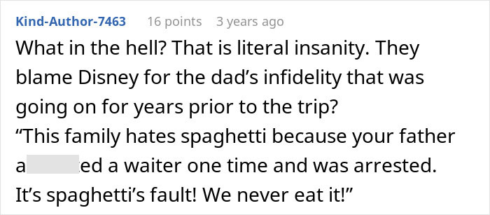 An online comment pointing out how illogical it is for parents to hate Disneyland over a father's infidelity An online comment pointing out how illogical it is for parents to hate Disneyland over a father's infidelity