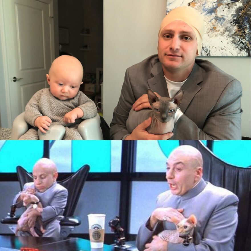 Man and baby recreating Dr Evil and Mini Me Halloween costumes with hairless cats