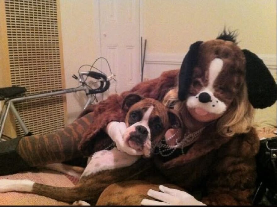 My Roommate’s Dog. It Was A Wake And Bake DIY Thrown Together The Morning Of Halloween