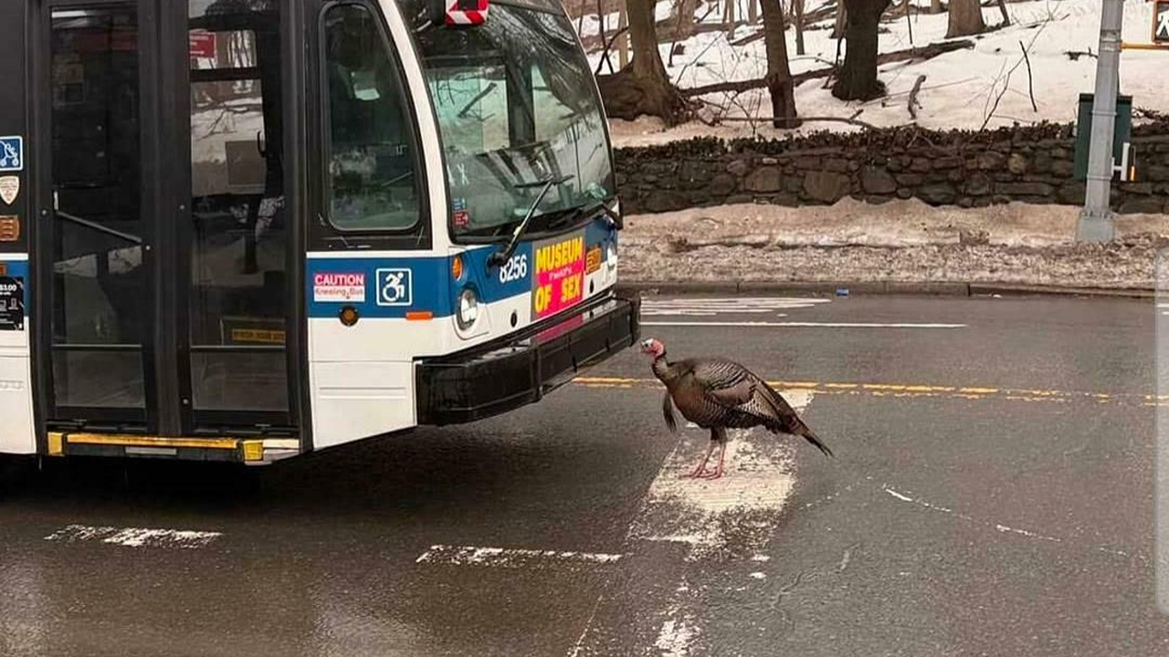 54 Hilarious Photos Of Angry Birds Showing Just How Mean They Can Be (New Pics)