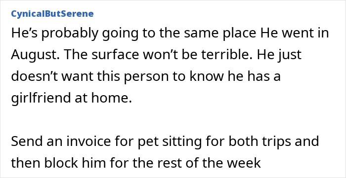 Online comment advising to send a pet sitting invoice regarding a guy takes an imaginary flight to Italy.
