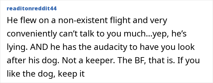 User comment pointing out a fake trip and lie in a story about a guy takes an imaginary flight to Italy.