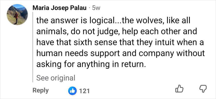 Facebook comment discussing the non-judgmental nature of wolves in the context of Marcos Rodríguez Pantoja. Facebook comment discussing the non-judgmental nature of wolves in the context of Marcos Rodríguez Pantoja.