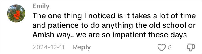 A fan comment about former Amish content creator Lovina Zook discussing the patience involved in the Amish lifestyle. A fan comment about former Amish content creator Lovina Zook discussing the patience involved in the Amish lifestyle.