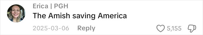 A social media comment saying The Amish saving America for content creator Lovina Zook A social media comment saying The Amish saving America for content creator Lovina Zook