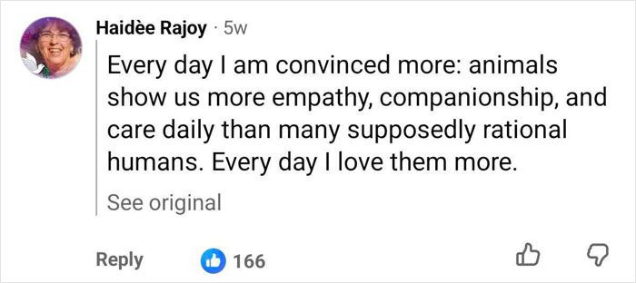 A social media post on Marcos Rodríguez Pantoja raised by wolves emphasizing animal empathy A social media post on Marcos Rodríguez Pantoja raised by wolves emphasizing animal empathy