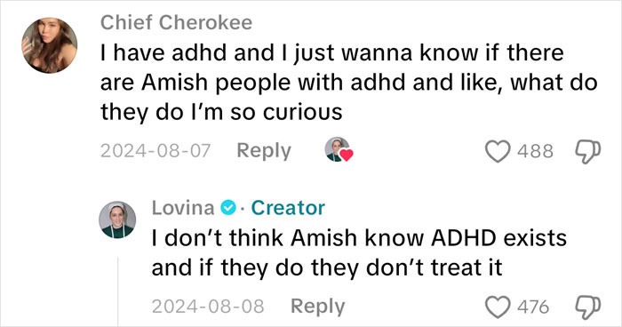 Screenshot of a comment about Amish and ADHD with Lovina Zook responding about awareness and treatment Screenshot of a comment about Amish and ADHD with Lovina Zook responding about awareness and treatment