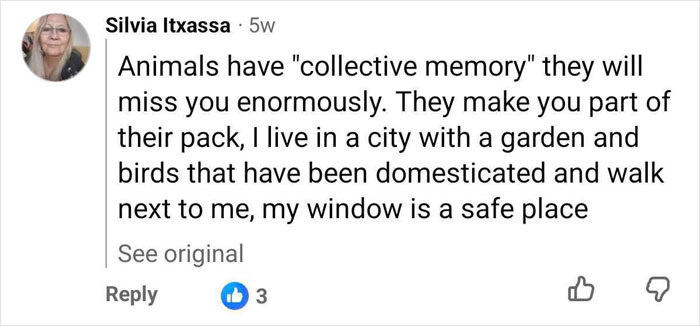 A social media comment about animals and memory, honoring the man raised by wolves Marcos Rodriguez Pantoja. A social media comment about animals and memory, honoring the man raised by wolves Marcos Rodriguez Pantoja.