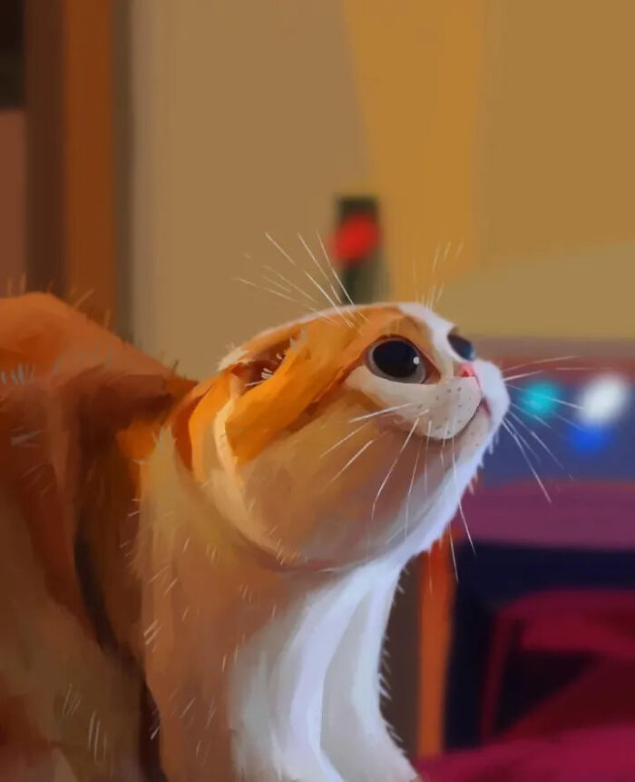 Fun cat caricature digitally illustrated with wide eyes looking upward