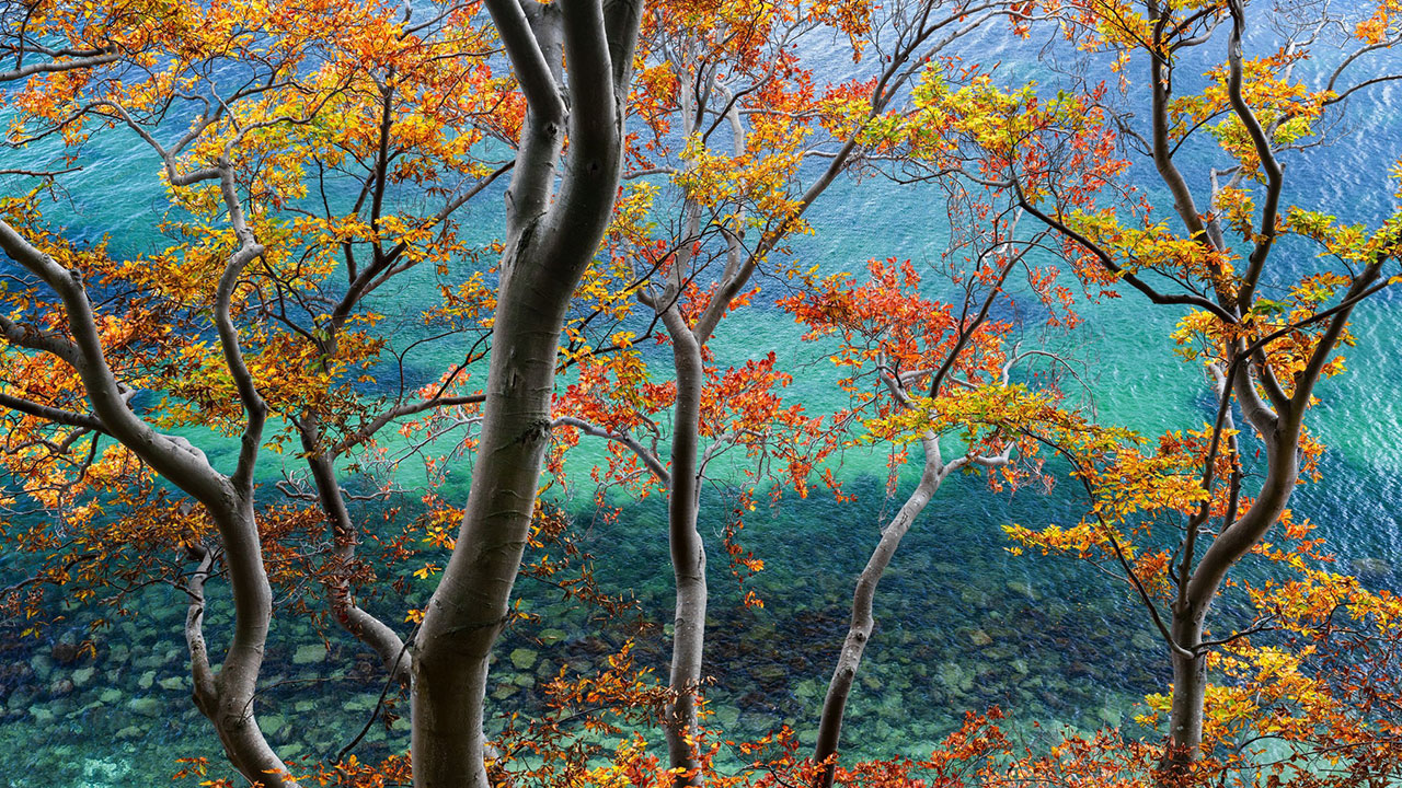 81 Photos Exploring Earth’s Wild Side From The Natural Landscape Photography Awards 2026