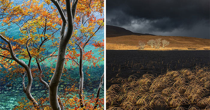 81 Photos Exploring Earth’s Wild Side From The Natural Landscape Photography Awards 2026