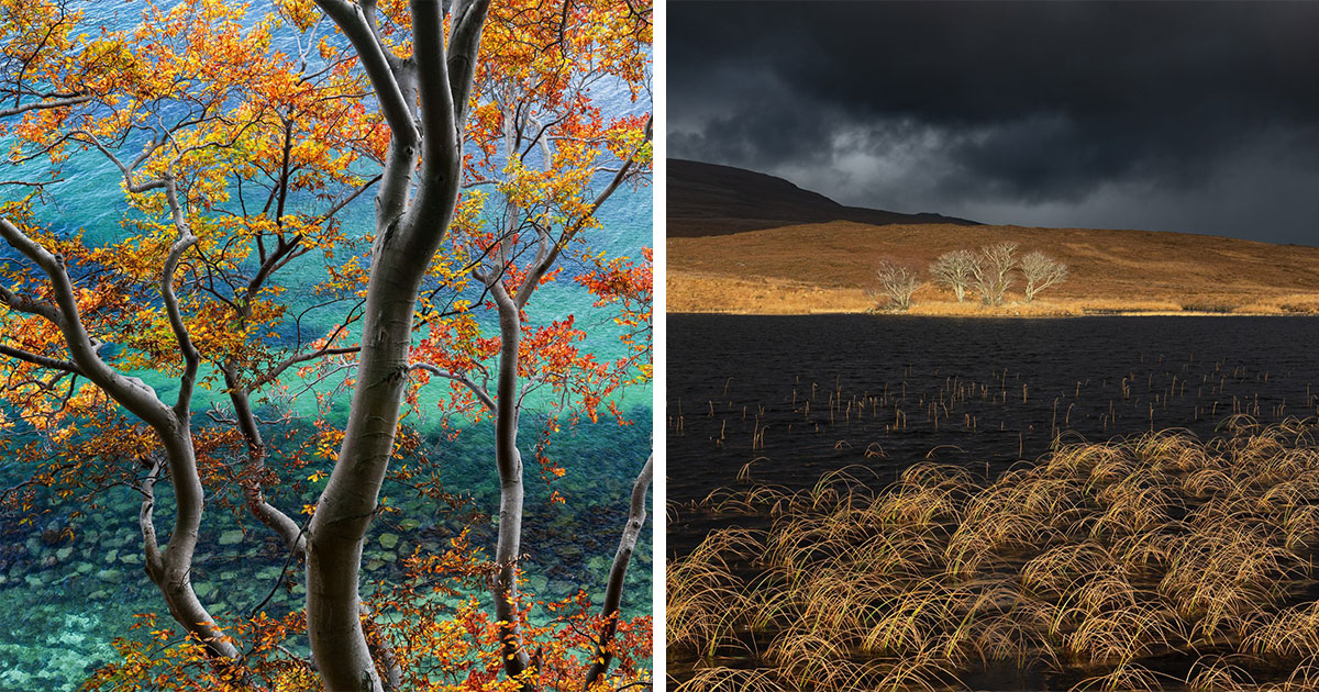 81 Remarkable Images From The Natural Landscape Photography Awards