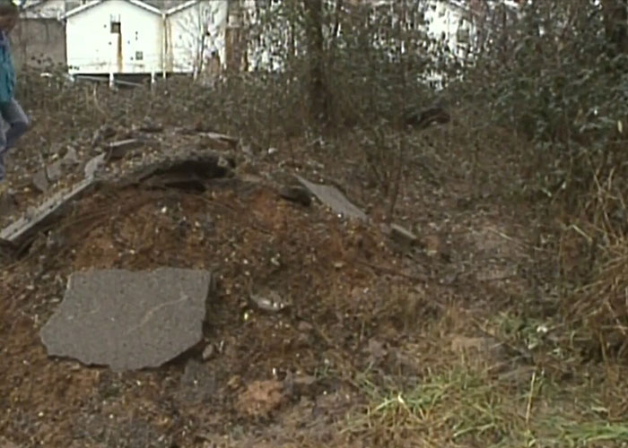 The wooded crime scene area where Christa Pike committed her offence