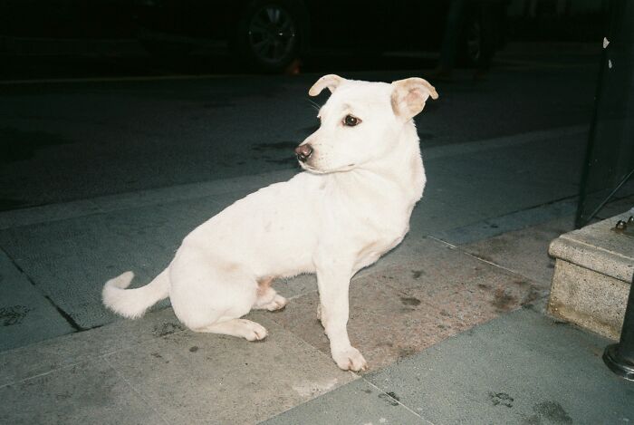 93 Dumb Things That Made Men Feel The Ick And They’ve Lost Interest In A Woman