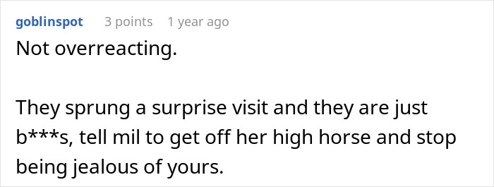 Reddit user comment validating a woman's reaction when MIL shames DIL for not wearing a bra at home.
