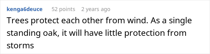 A comment about a standing oak tree protecting others from wind, illustrating neighbor cuts down oak tree A comment about a standing oak tree protecting others from wind, illustrating neighbor cuts down oak tree