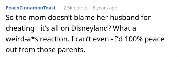 A screenshot of a comment discussing parents, cheating, and how Disneyland is blamed A screenshot of a comment discussing parents, cheating, and how Disneyland is blamed