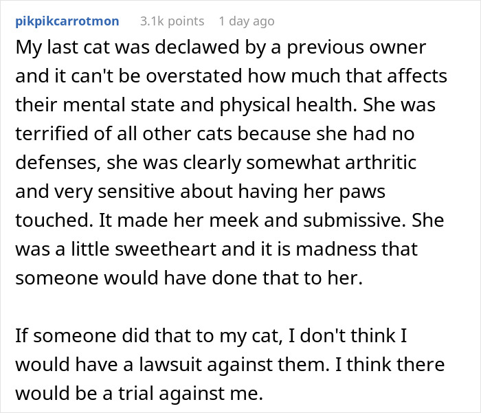 Cat Owner Comes Home To Find Her Pet With Bandaged Paws After Roommate Ignored A Clear &ldquo;No&rdquo;