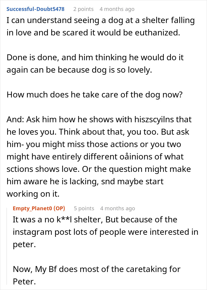 An online forum post discussing the boyfriend responsibility for the large dog from a shelter.