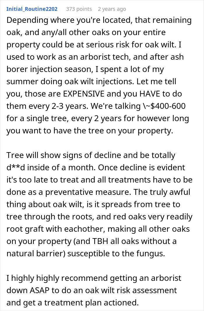 Arborist advice warning of oak wilt disease risk for remaining trees after an oak tree is cut down. Arborist advice warning of oak wilt disease risk for remaining trees after an oak tree is cut down.