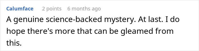 Social media comment calling non-human intelligence and strange objects a genuine science-backed mystery. Social media comment calling non-human intelligence and strange objects a genuine science-backed mystery.