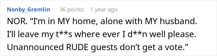 Online comment defending a DIL for not wearing a bra at home when unannounced guests arrive.
