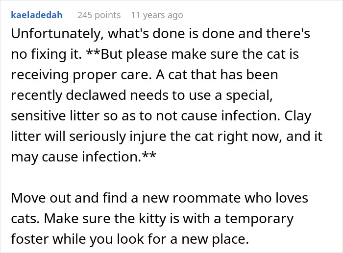 Cat Owner Comes Home To Find Her Pet With Bandaged Paws After Roommate Ignored A Clear &ldquo;No&rdquo;