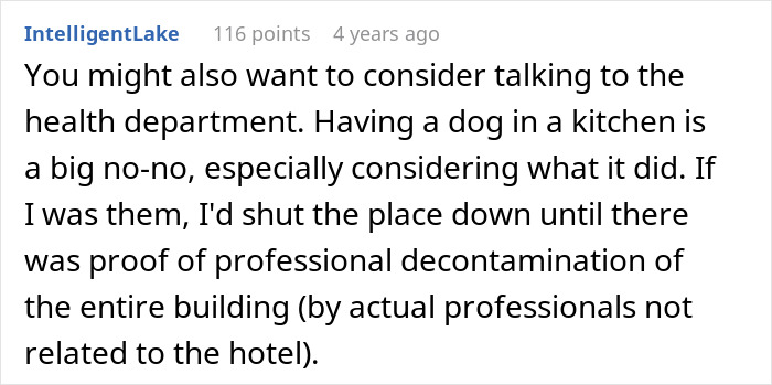 Hotel Tells Employee To Not Bring Untrained Dog To Work, She Calls Them "Satanic Reptilian Illuminati" Hotel Tells Employee To Not Bring Untrained Dog To Work, She Calls Them "Satanic Reptilian Illuminati"