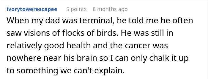 A comment sharing end-of-life conversations about terminal dad having unexplained visions of flocks of birds A comment sharing end-of-life conversations about terminal dad having unexplained visions of flocks of birds
